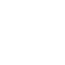 shape